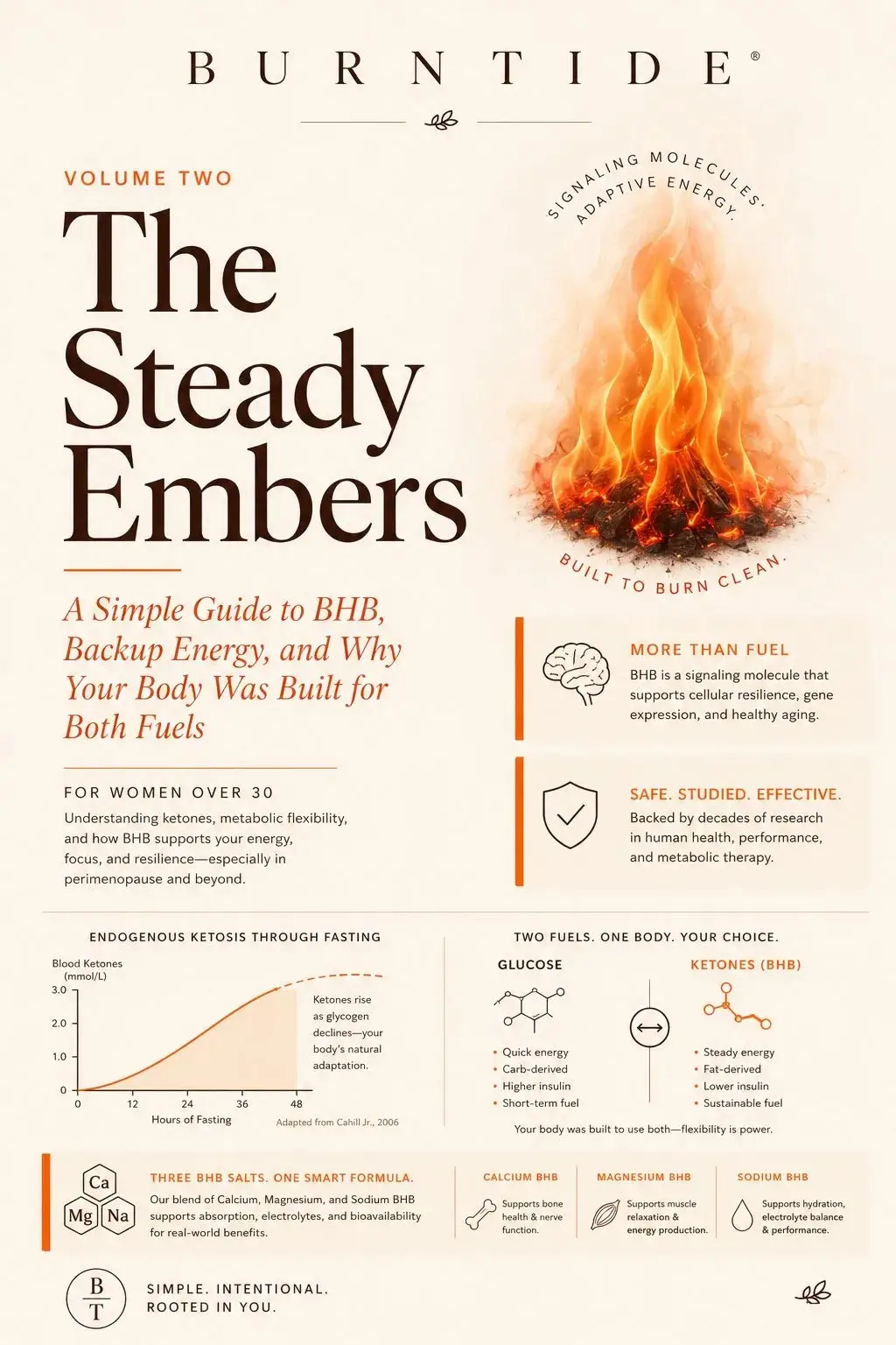 Burntide Everyday Energy Playbook